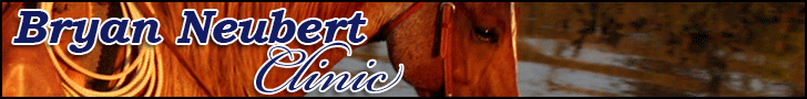 Horses For Sale Ranch Classifieds