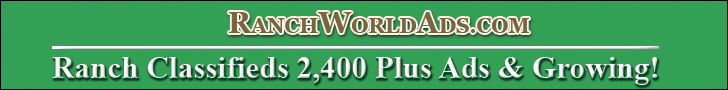 Ranch Horses For Sale Ranch Classifieds