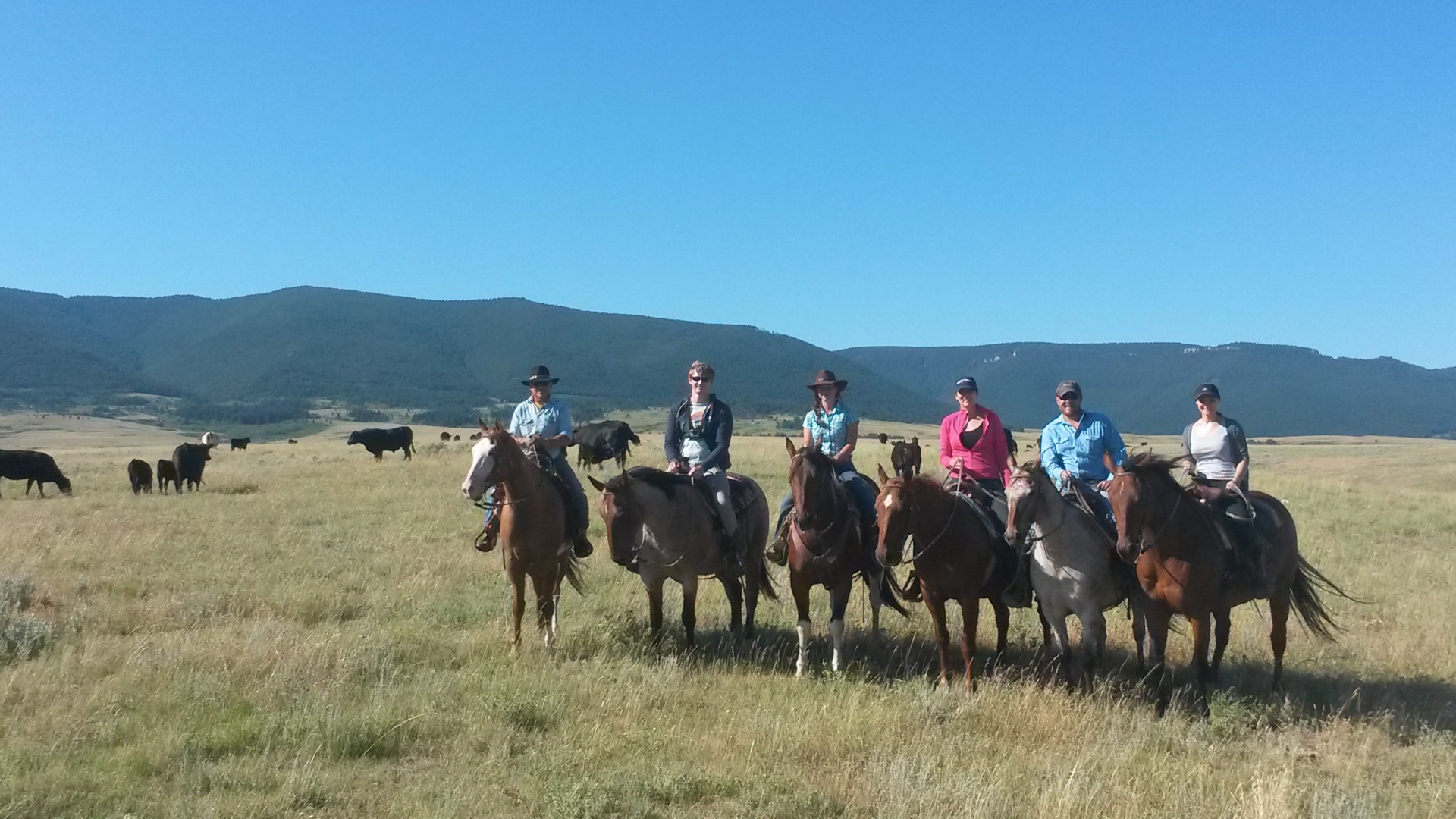 Wanted Wrangler/Cowhand/Horse Trainer SE Montana