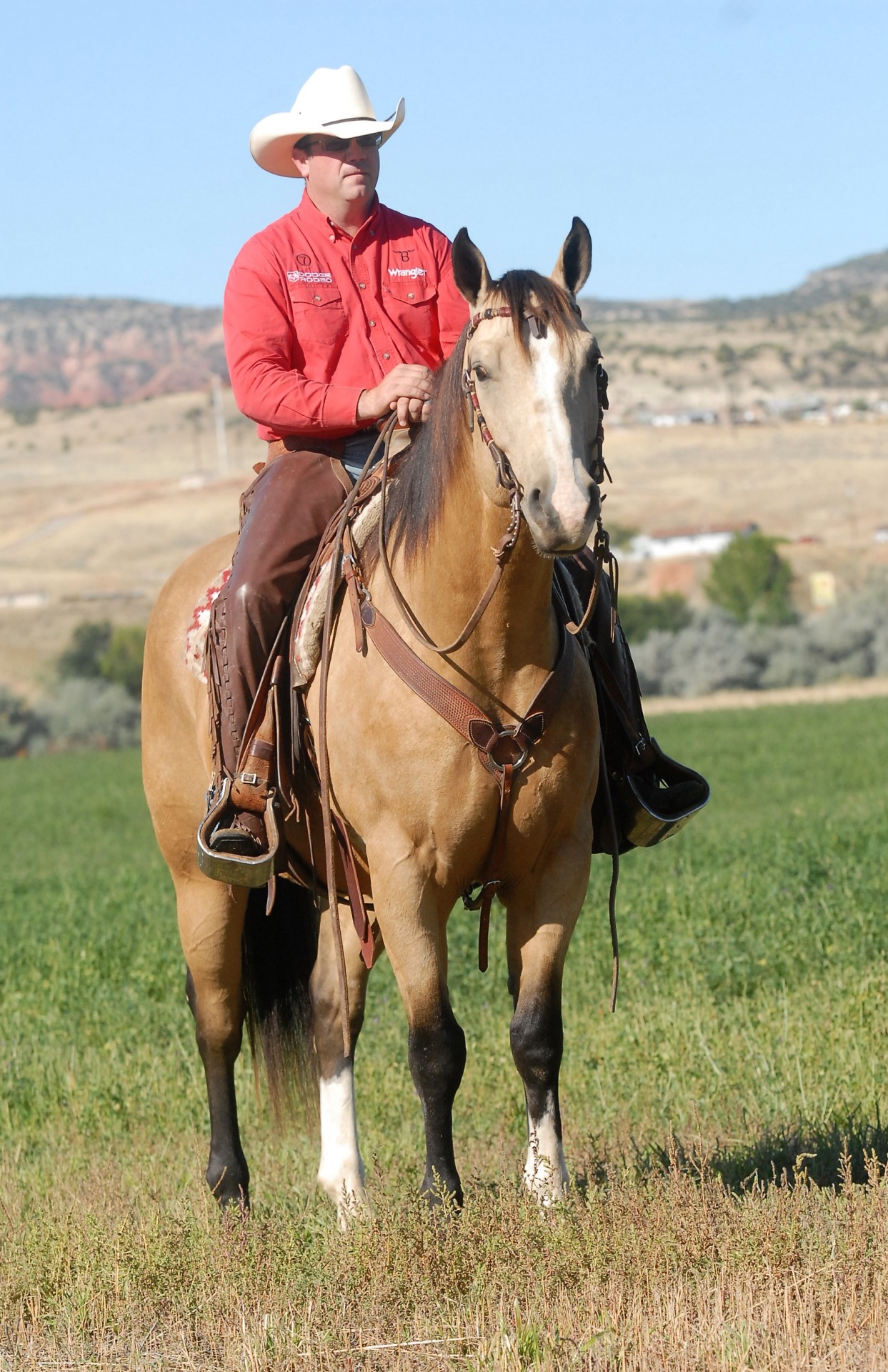 Wanted Horseman Wyo Quarter Horse Ranch Wyoming