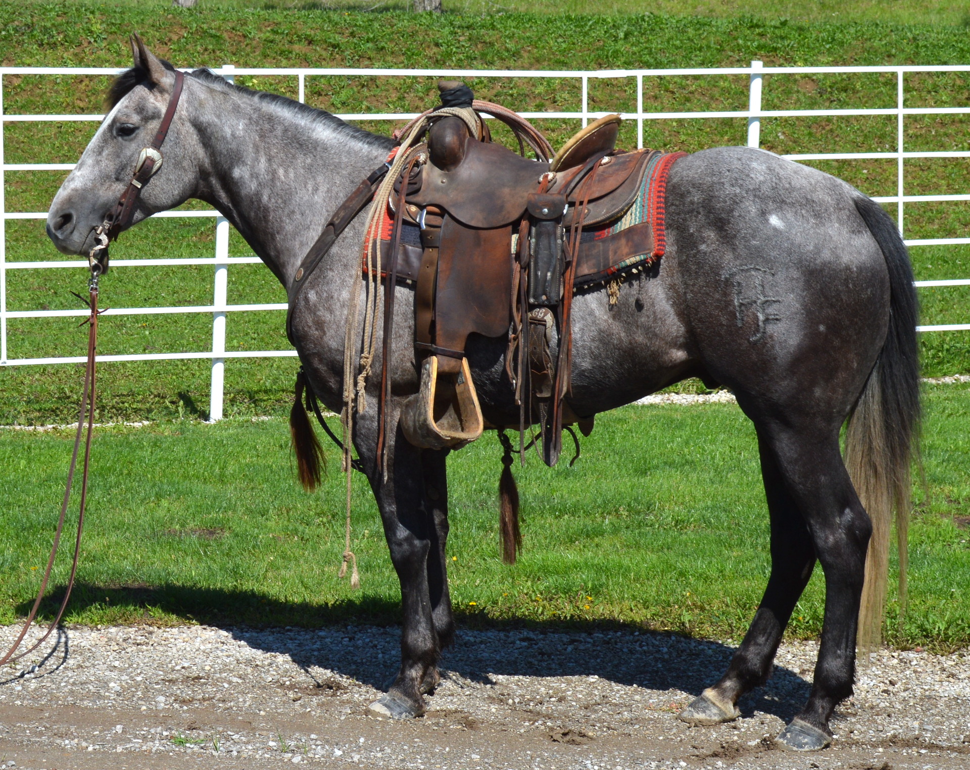 Working On A Horse Ranch