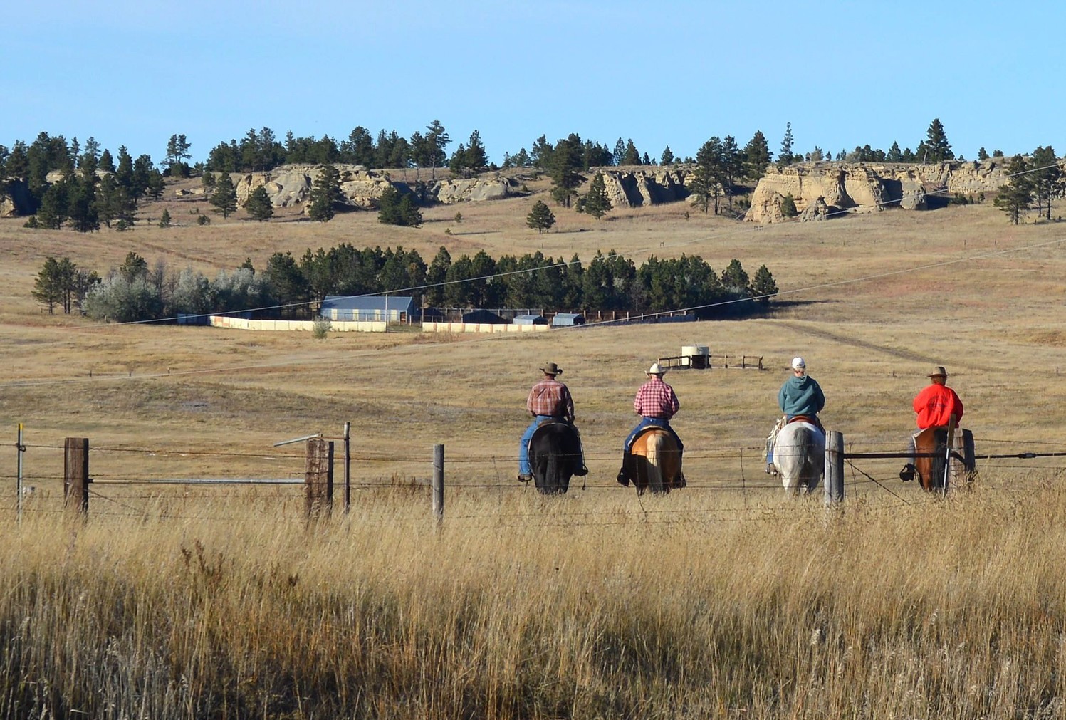 wanted-ranch-hand-montana