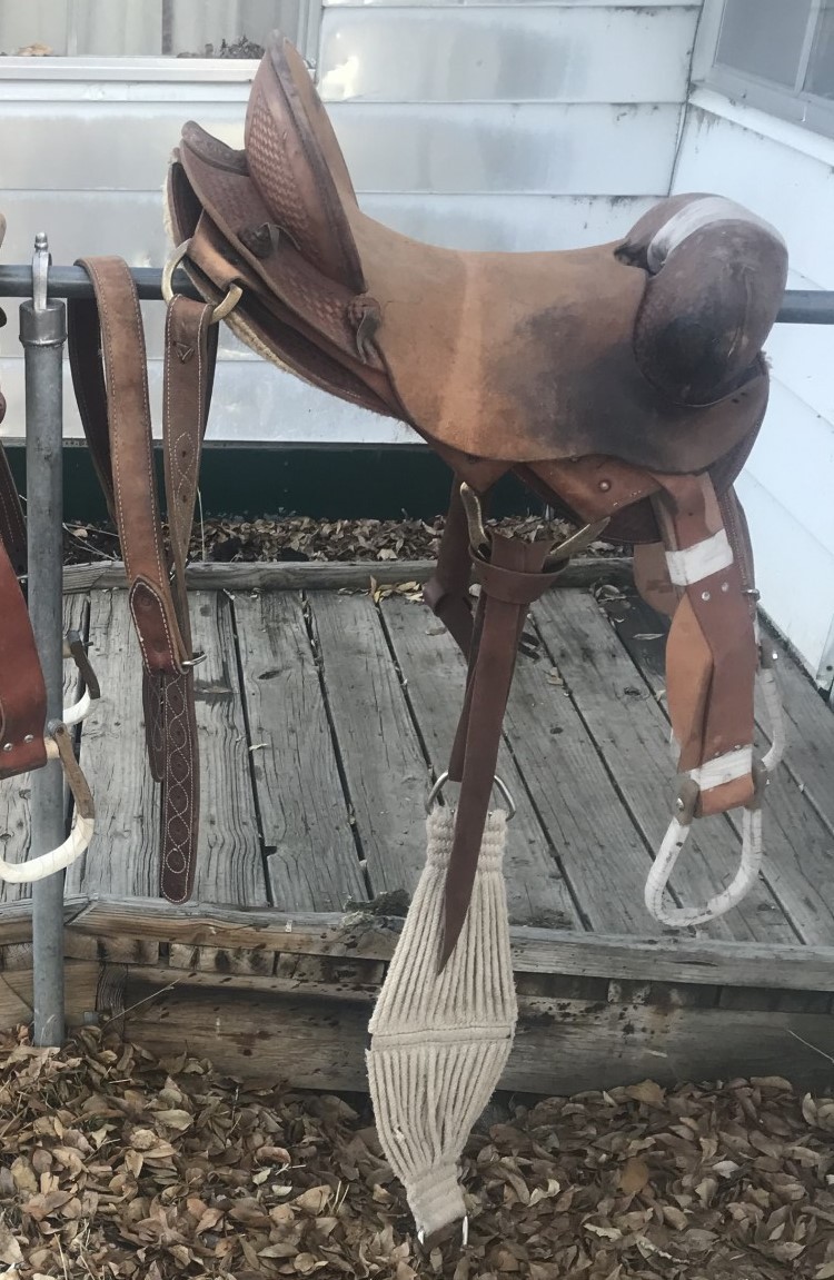 Rodeo Saddle Bronc Sad