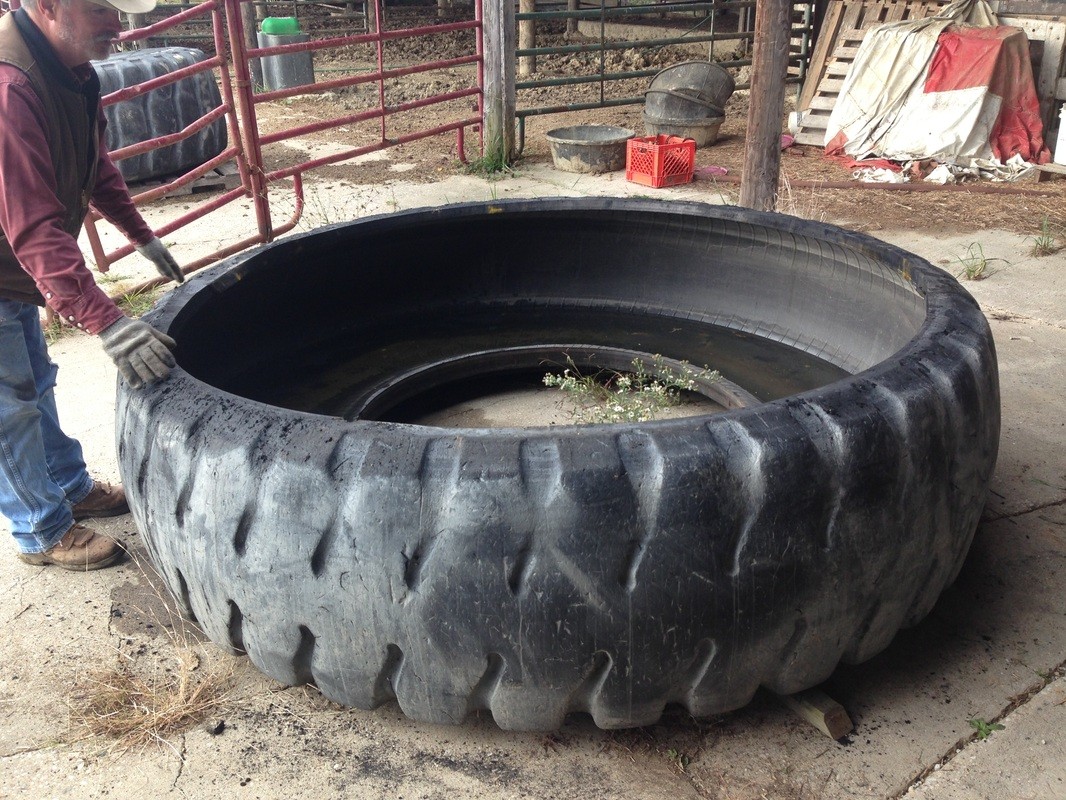 rubber-tire-water-trough