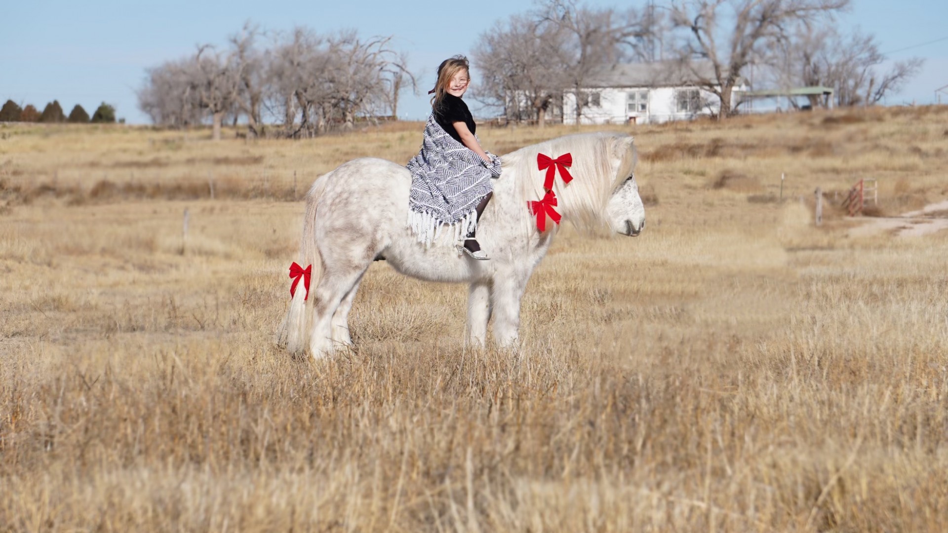 franky-dreamy-8-year-old-kid-broke-pony