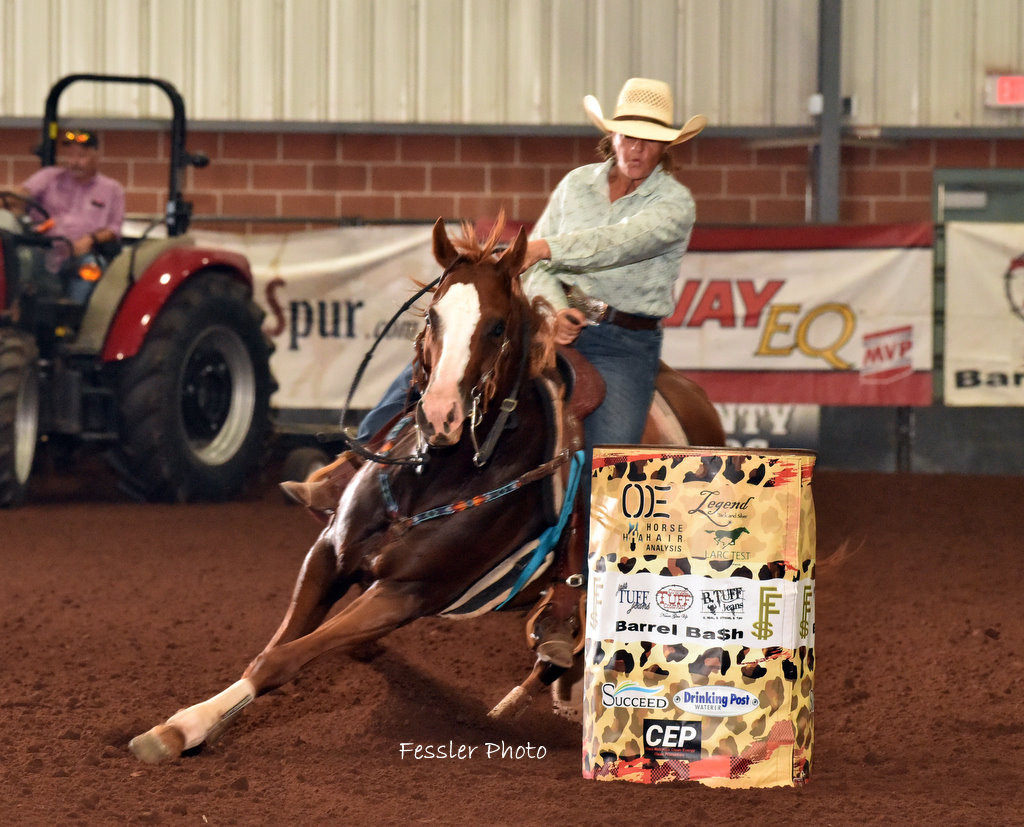 THIS PERK CAN STREAK – 2017 AQHA Sorrel Mare x Streaking Ta Fame x Dash ...