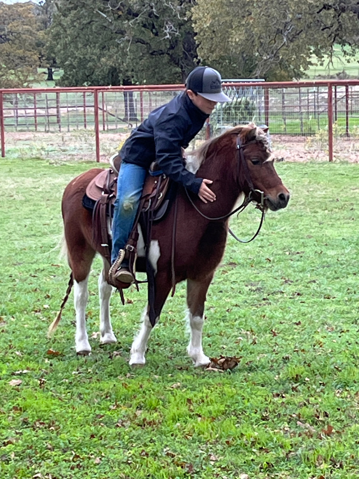 Adorable 42" Paint Pony Gelding