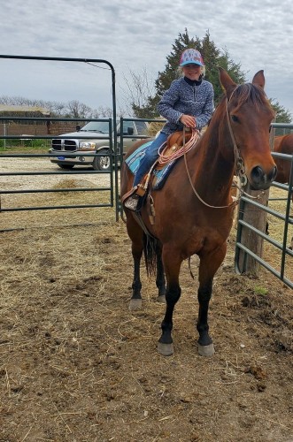 Family - Ranch Gelding