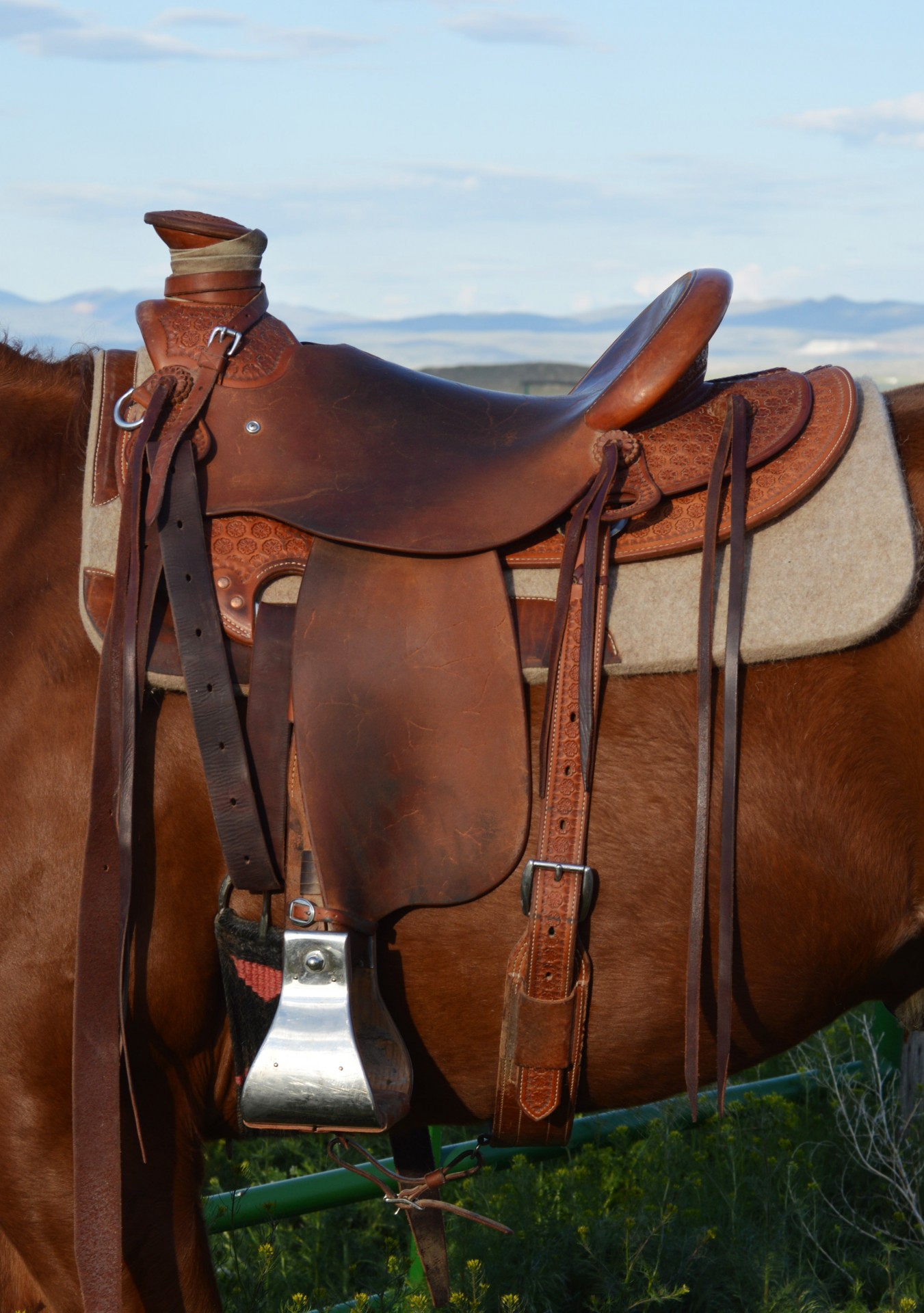 16" Dan Mayer Saddle By Jeff Haslam