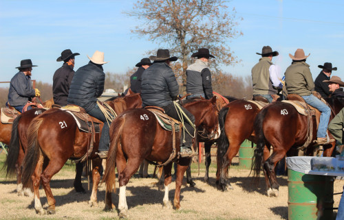 Heritage Livestock 2024 Horse Sales   897687398 65b2924365b1c4 54444714 Small 