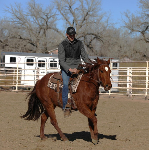 TAKE IT TO THE LIMIT – 2021 AQHA Sorrel Mare x Cats Desire x High Brow ...